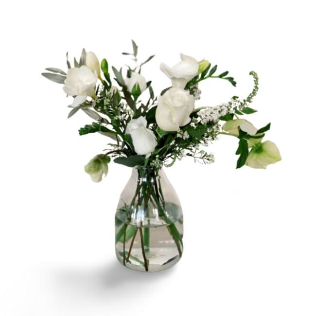 Dainty Size In White