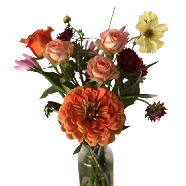 Orange Version