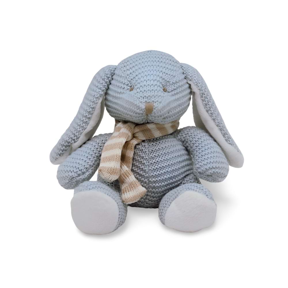 Blue Bunny