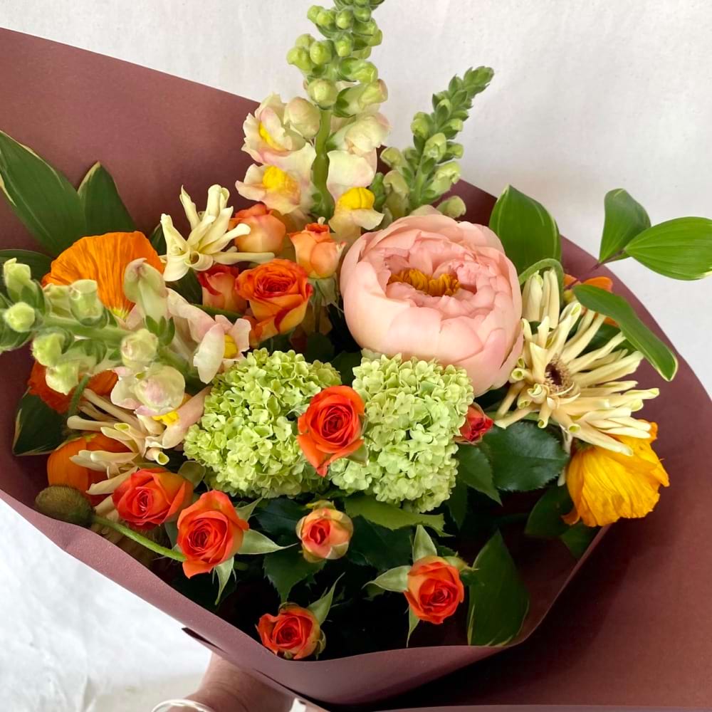 Apricot Classic
