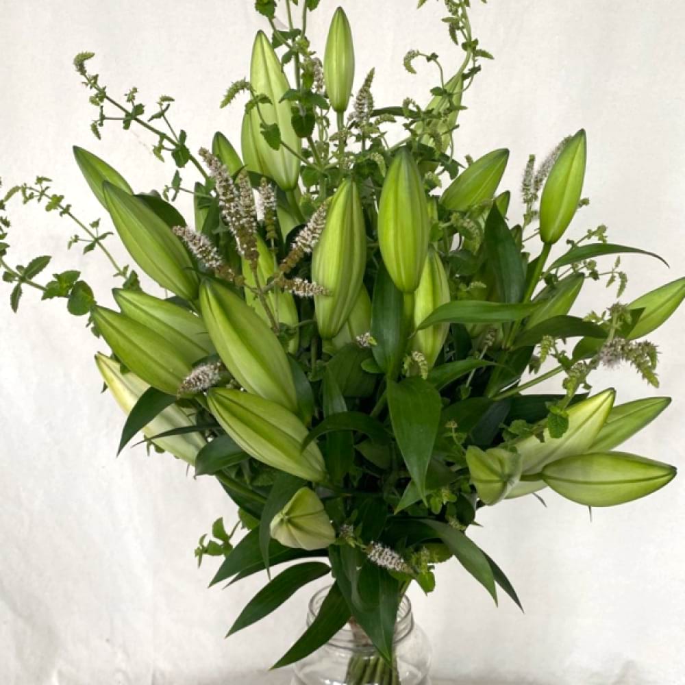 Lovely Lilies